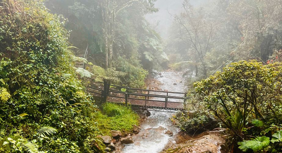 Colombia Nieuw 17 Colombia Nieuw 17